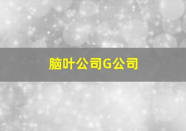 脑叶公司G公司