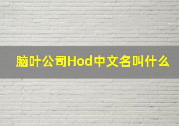 脑叶公司Hod中文名叫什么