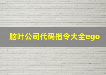 脑叶公司代码指令大全ego