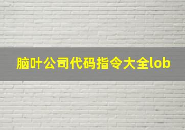 脑叶公司代码指令大全lob