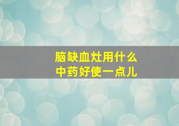 脑缺血灶用什么中药好使一点儿