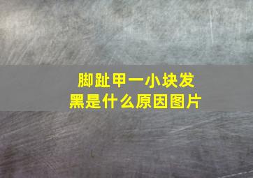 脚趾甲一小块发黑是什么原因图片