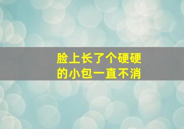 脸上长了个硬硬的小包一直不消