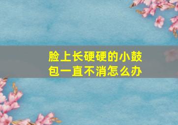 脸上长硬硬的小鼓包一直不消怎么办