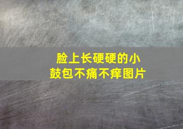 脸上长硬硬的小鼓包不痛不痒图片