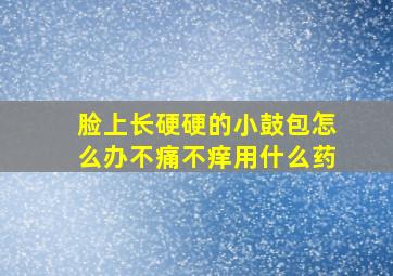 脸上长硬硬的小鼓包怎么办不痛不痒用什么药