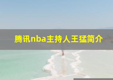 腾讯nba主持人王猛简介