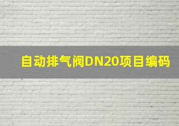 自动排气阀DN20项目编码