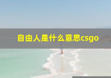 自由人是什么意思csgo