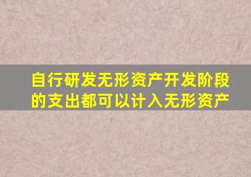 自行研发无形资产开发阶段的支出都可以计入无形资产