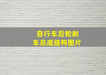 自行车后轮刹车总成结构图片