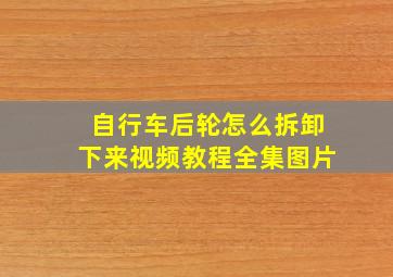 自行车后轮怎么拆卸下来视频教程全集图片