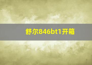 舒尔846bt1开箱