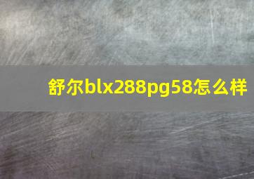 舒尔blx288pg58怎么样