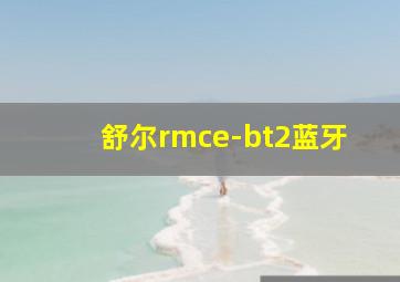 舒尔rmce-bt2蓝牙