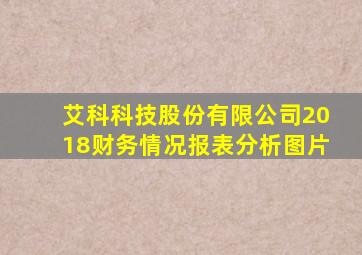 艾科科技股份有限公司2018财务情况报表分析图片