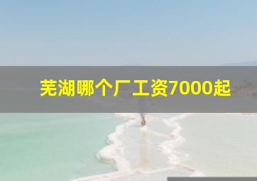 芜湖哪个厂工资7000起