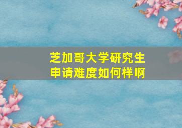 芝加哥大学研究生申请难度如何样啊