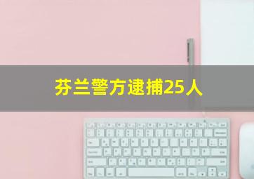 芬兰警方逮捕25人