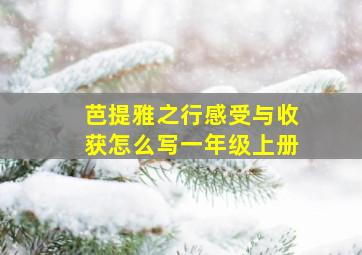 芭提雅之行感受与收获怎么写一年级上册