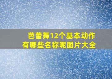 芭蕾舞12个基本动作有哪些名称呢图片大全