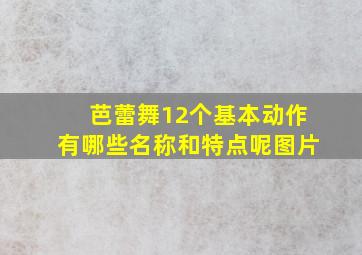 芭蕾舞12个基本动作有哪些名称和特点呢图片