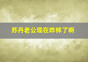 苏丹老公现在咋样了啊