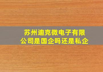 苏州迪克微电子有限公司是国企吗还是私企