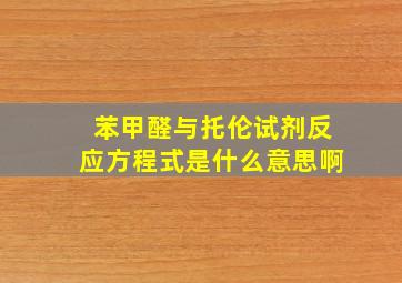 苯甲醛与托伦试剂反应方程式是什么意思啊