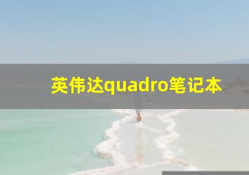 英伟达quadro笔记本