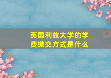 英国利兹大学的学费缴交方式是什么