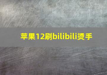 苹果12刷bilibili烫手