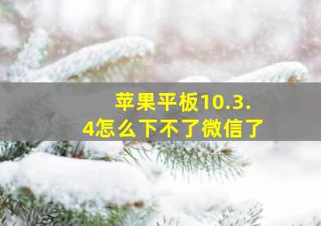 苹果平板10.3.4怎么下不了微信了