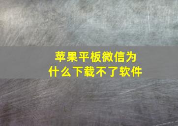 苹果平板微信为什么下载不了软件