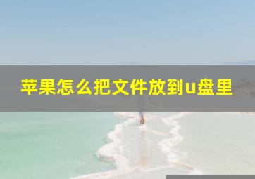 苹果怎么把文件放到u盘里