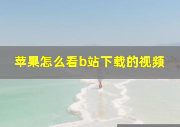 苹果怎么看b站下载的视频