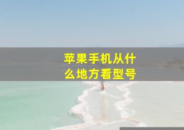 苹果手机从什么地方看型号