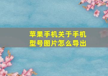 苹果手机关于手机型号图片怎么导出