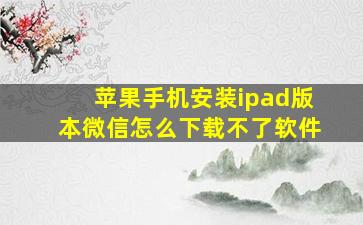 苹果手机安装ipad版本微信怎么下载不了软件