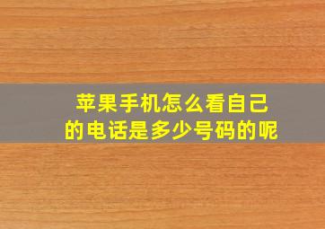 苹果手机怎么看自己的电话是多少号码的呢