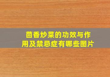 茴香炒菜的功效与作用及禁忌症有哪些图片