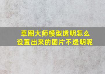 草图大师模型透明怎么设置出来的图片不透明呢