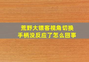 荒野大镖客视角切换手柄没反应了怎么回事