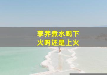 荸荠煮水喝下火吗还是上火