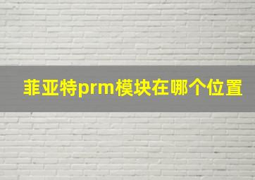 菲亚特prm模块在哪个位置