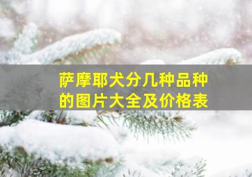 萨摩耶犬分几种品种的图片大全及价格表