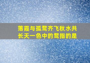 落霞与孤鹜齐飞秋水共长天一色中的鹜指的是