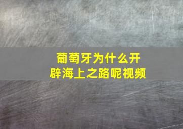 葡萄牙为什么开辟海上之路呢视频