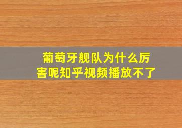 葡萄牙舰队为什么厉害呢知乎视频播放不了