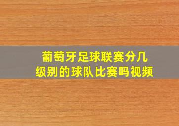 葡萄牙足球联赛分几级别的球队比赛吗视频